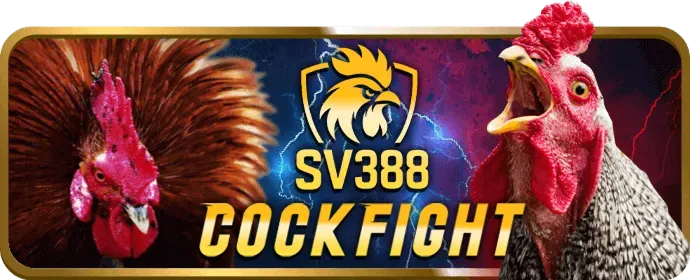 Ứng dụng di động tiện lợi của p3bet